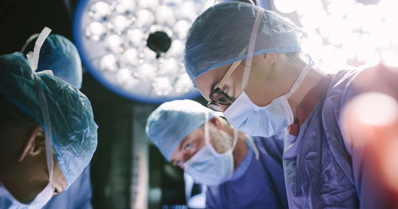 Aesthetic Surgery Degree