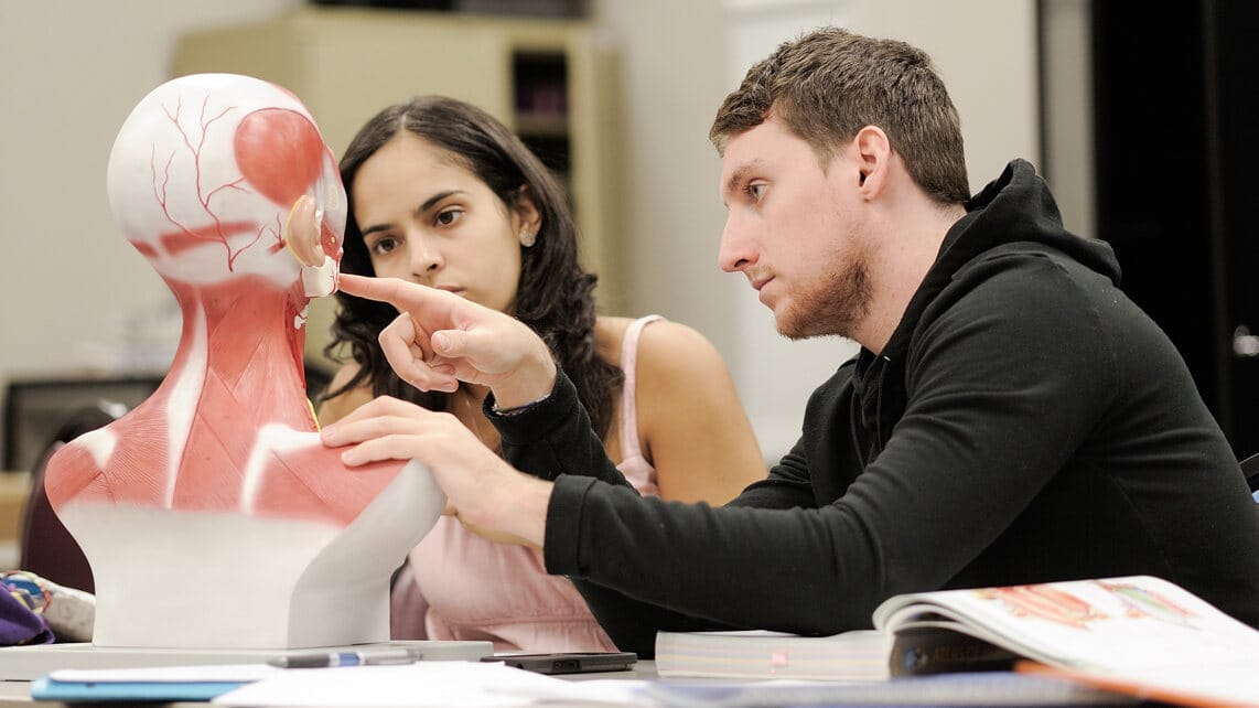 Anatomy Degree Online