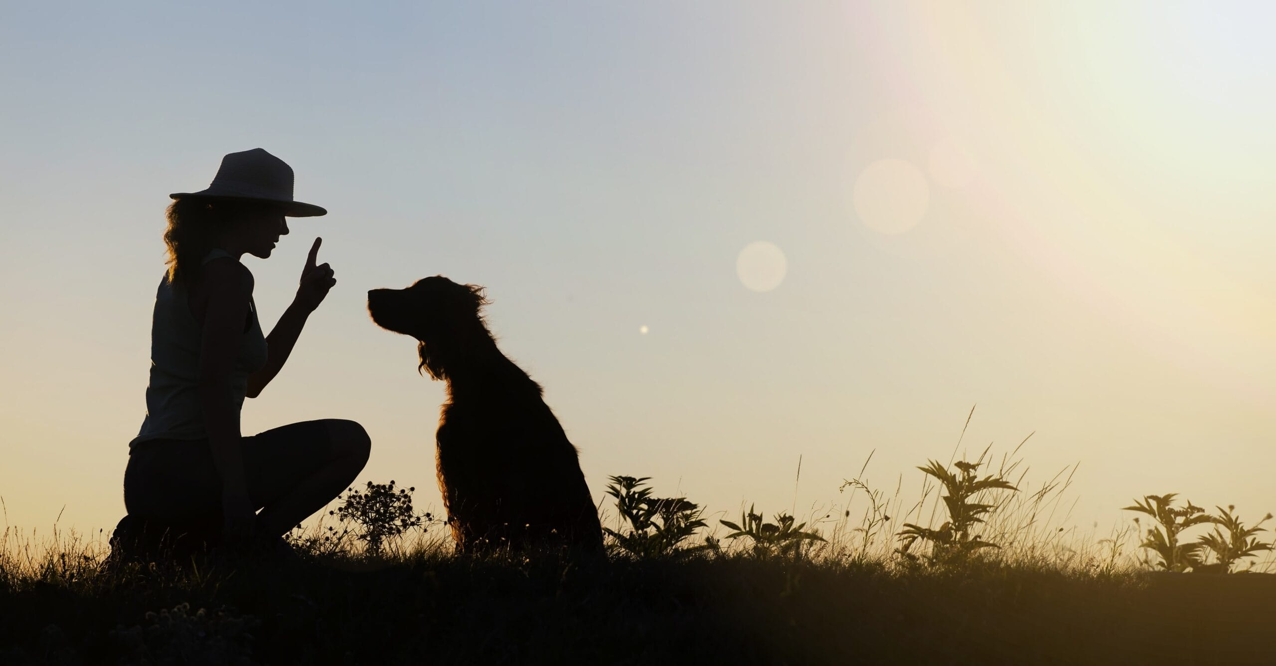 Animal Behavior Degree