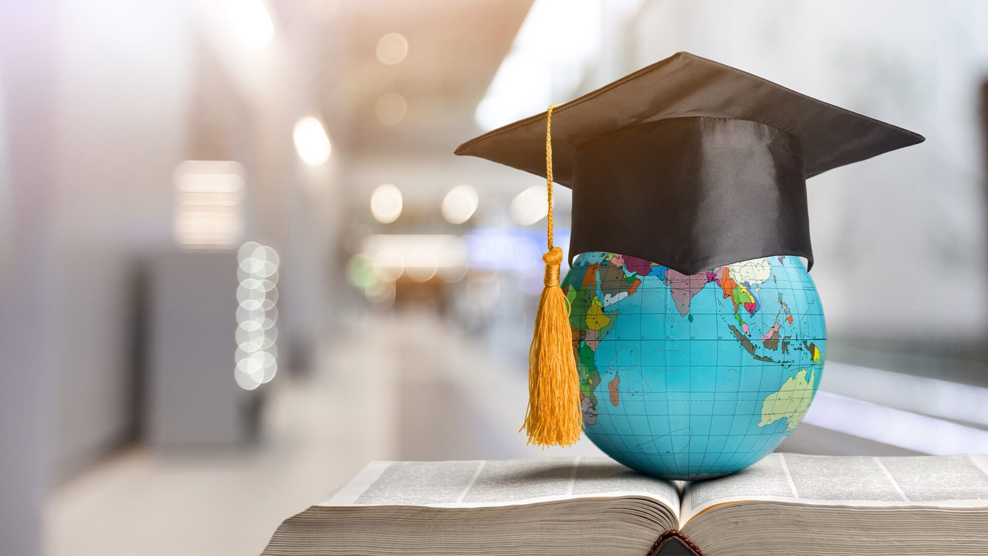 International Management Degree