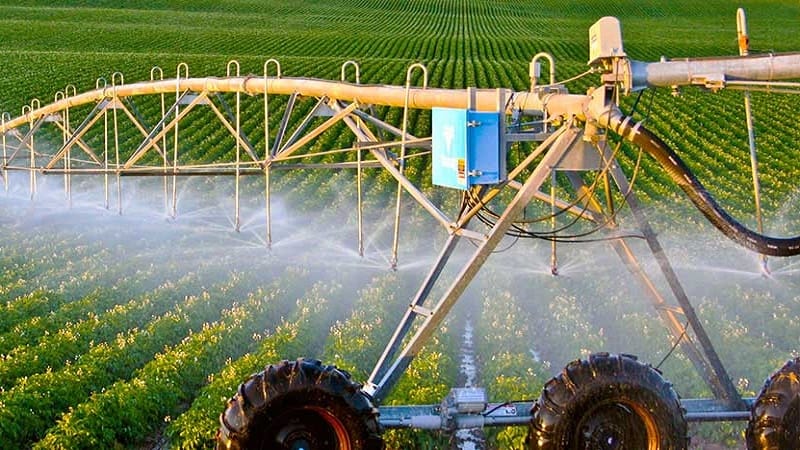 Irrigation Engineering Degree Online