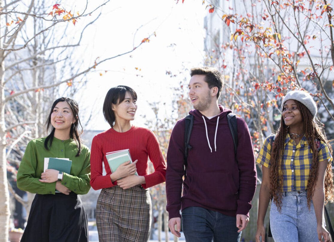 Japanese Degree Online