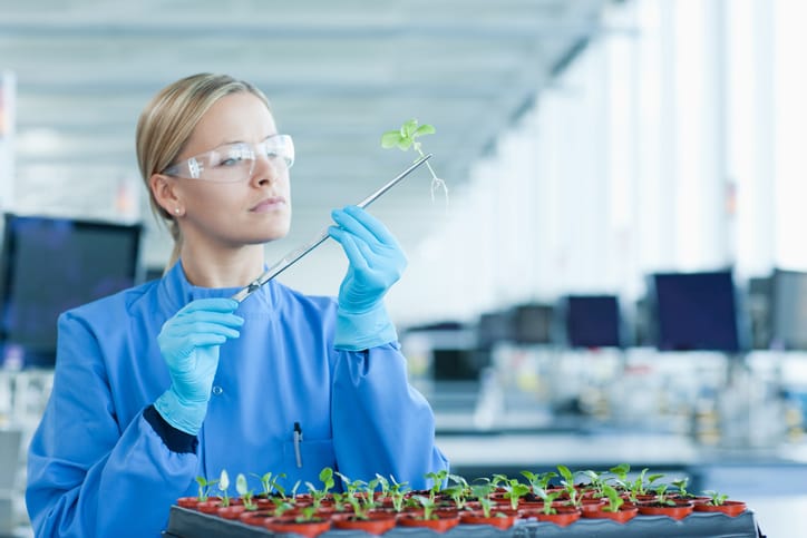 Plant Pathology Degree Online